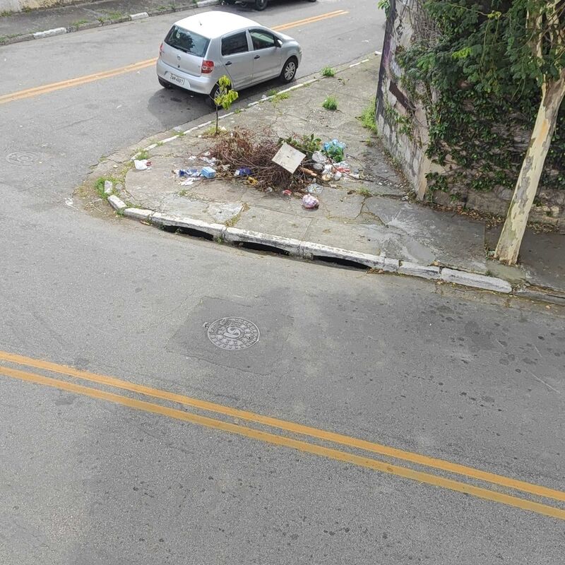 Imagem da publicação