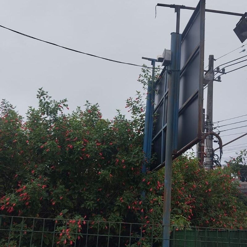 Imagem da publicação