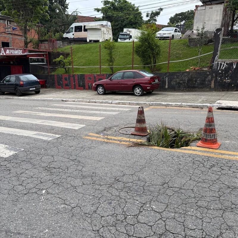 Imagem da publicação