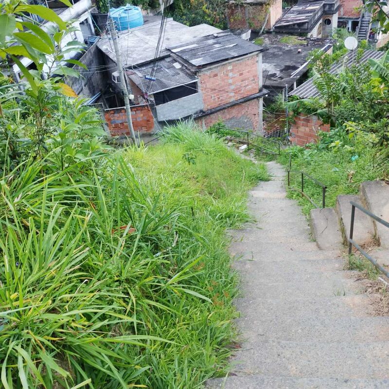 Imagem da publicação