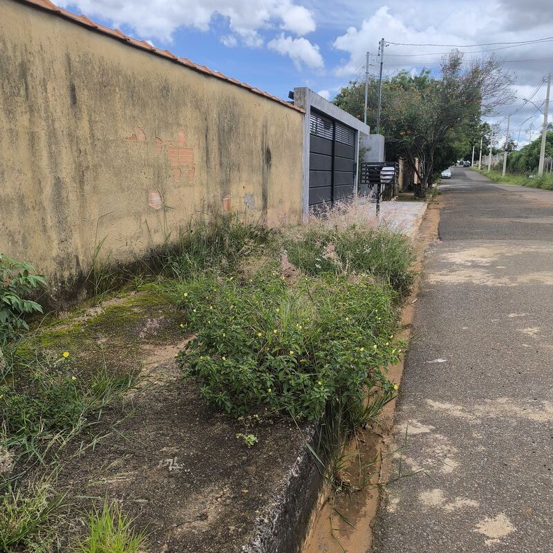 Imagem da publicação