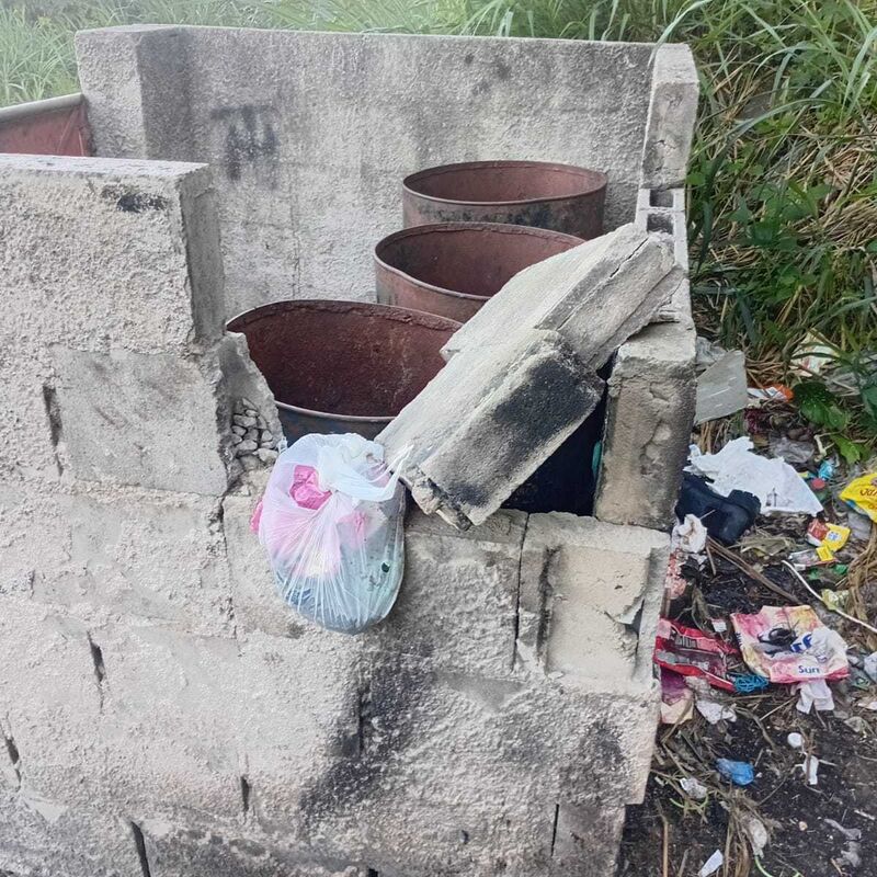 Imagem da publicação