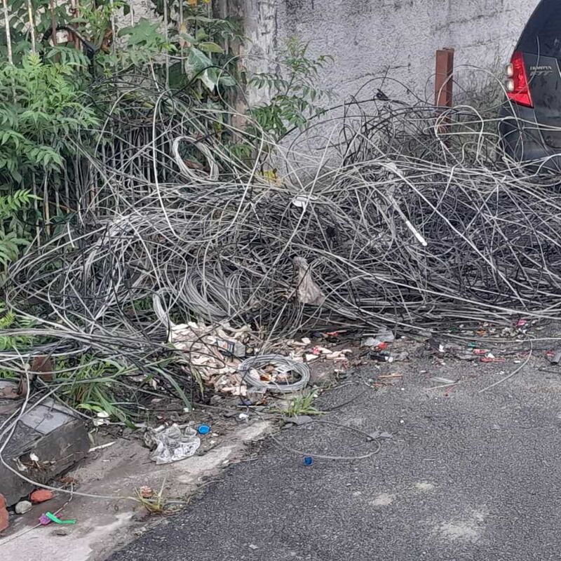 Imagem da publicação