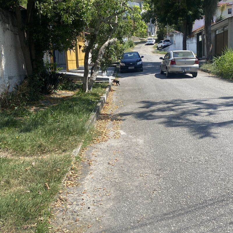 Imagem da publicação