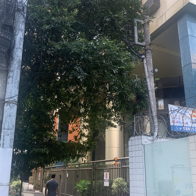 Imagem da publicação