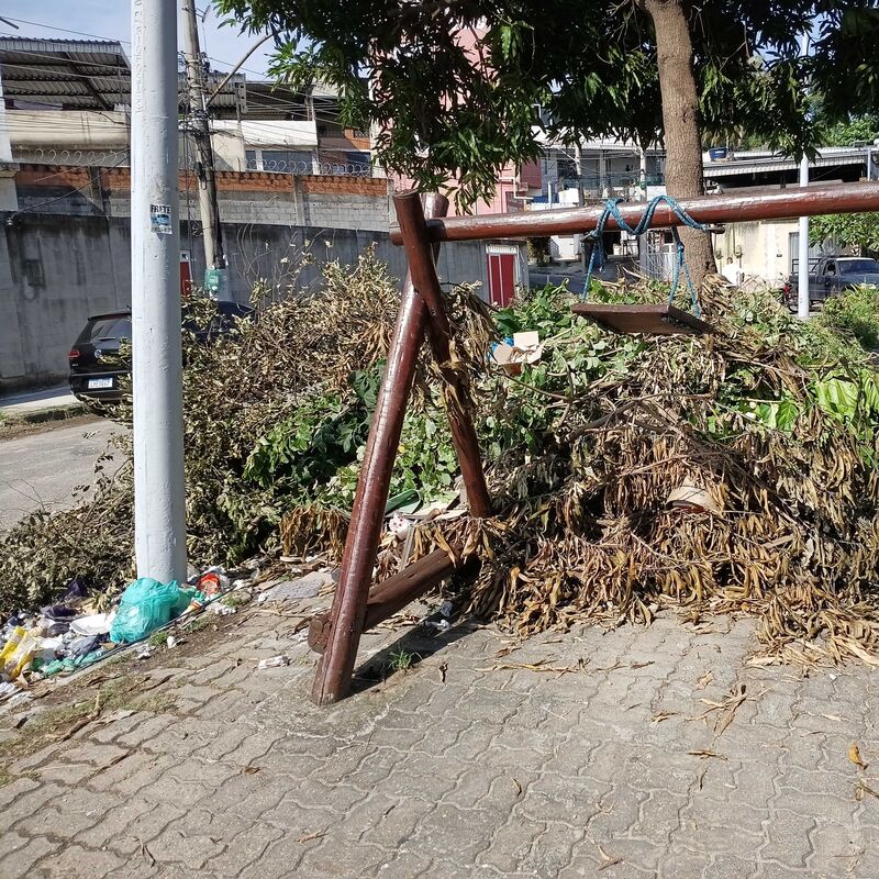 Imagem da publicação