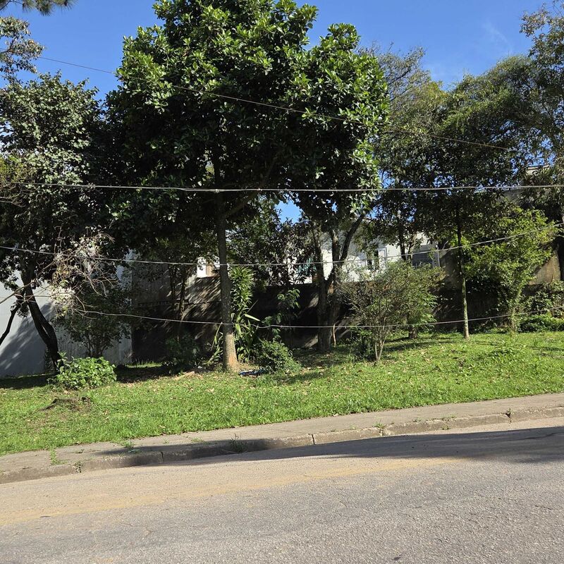 Imagem da publicação