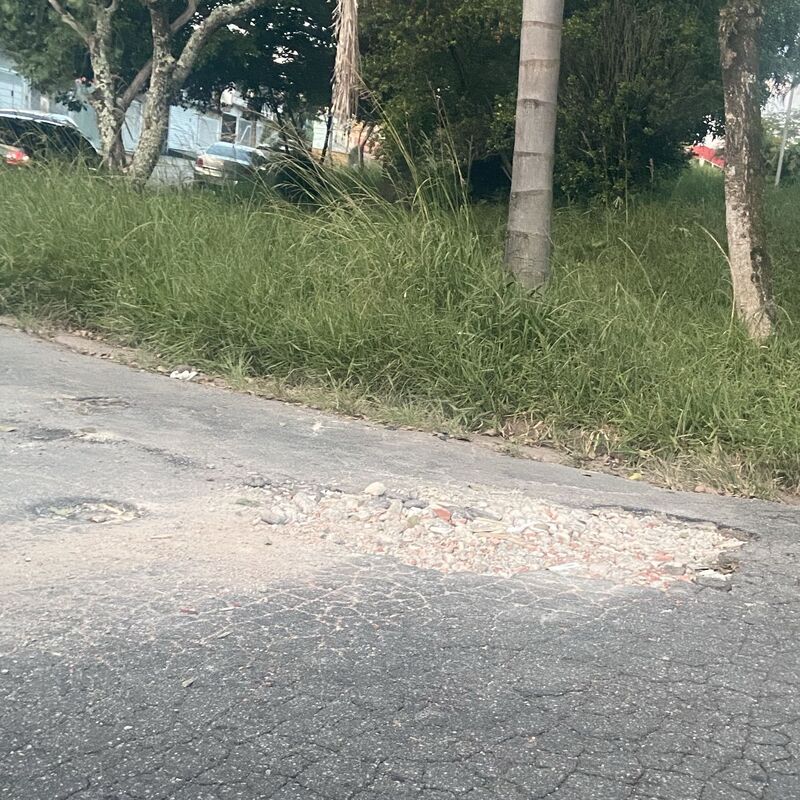 Imagem da publicação