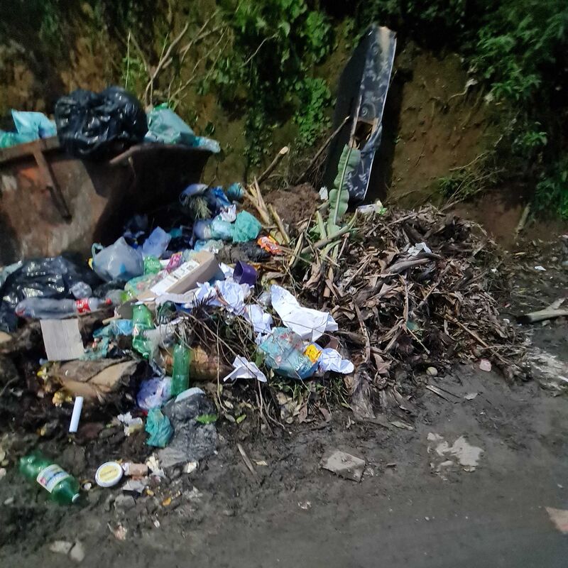 Imagem da publicação