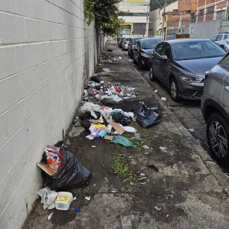 Imagem da publicação