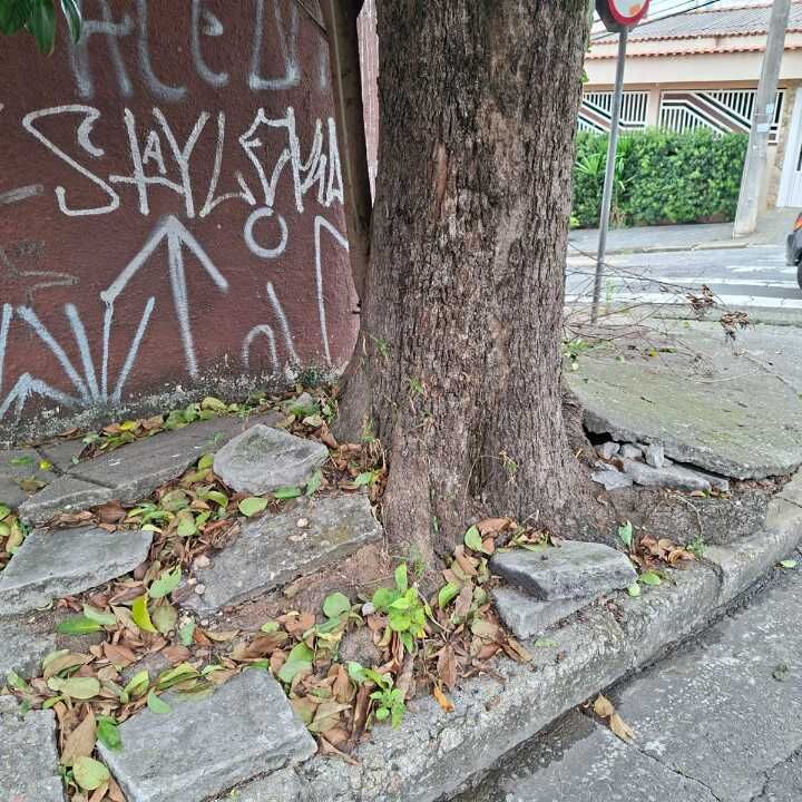 Imagem da publicação