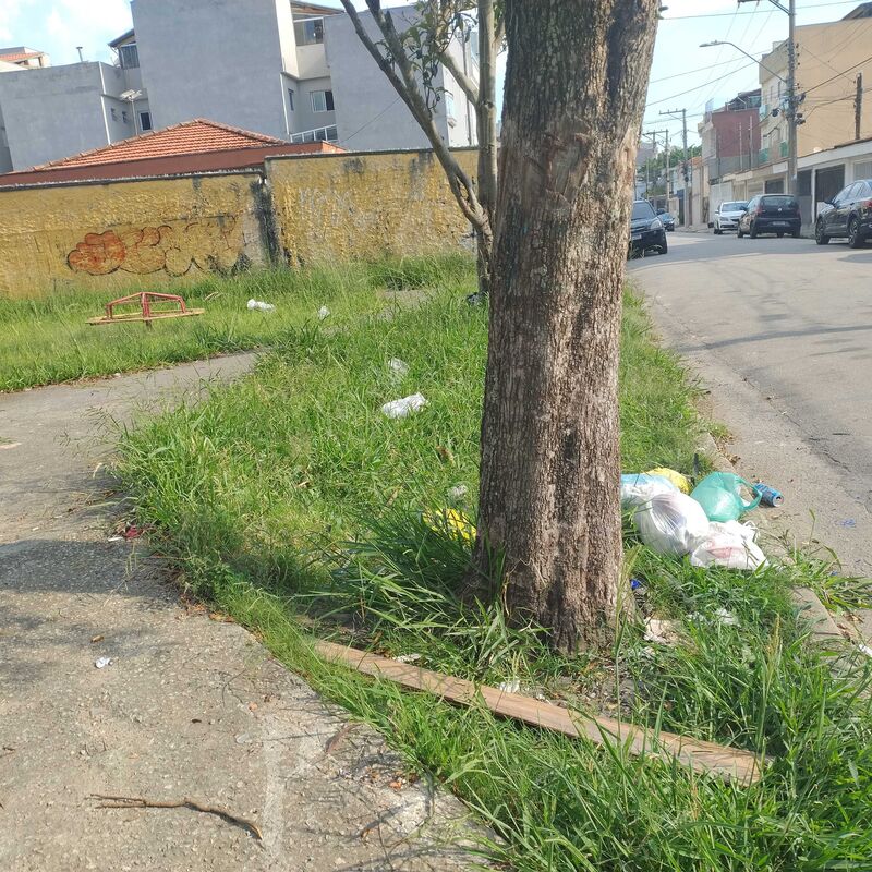 Imagem da publicação