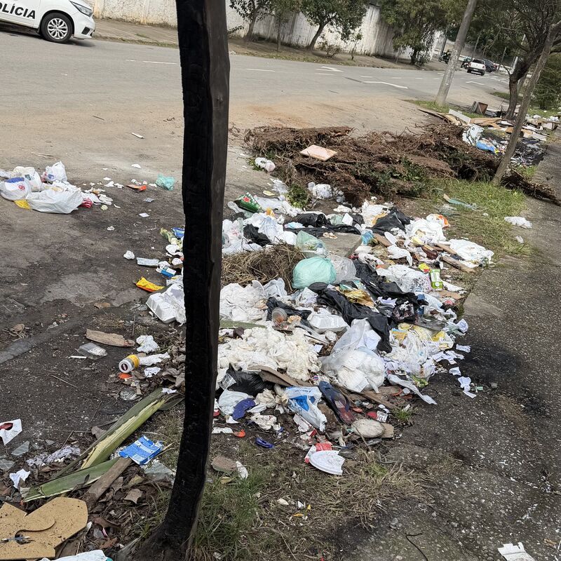 Imagem da publicação