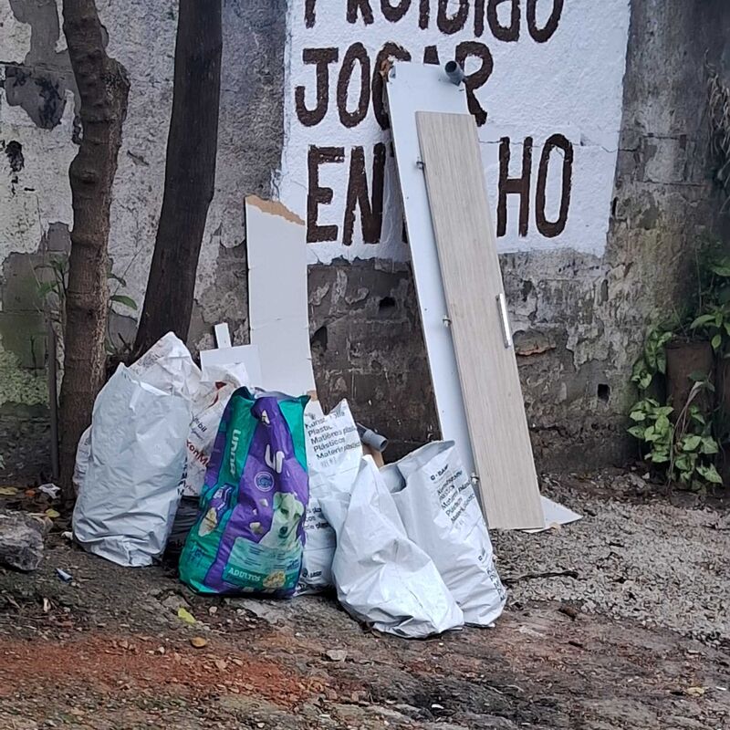 Imagem da publicação