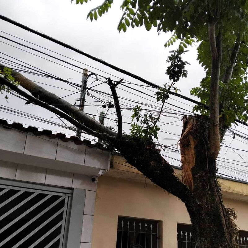 Imagem da publicação