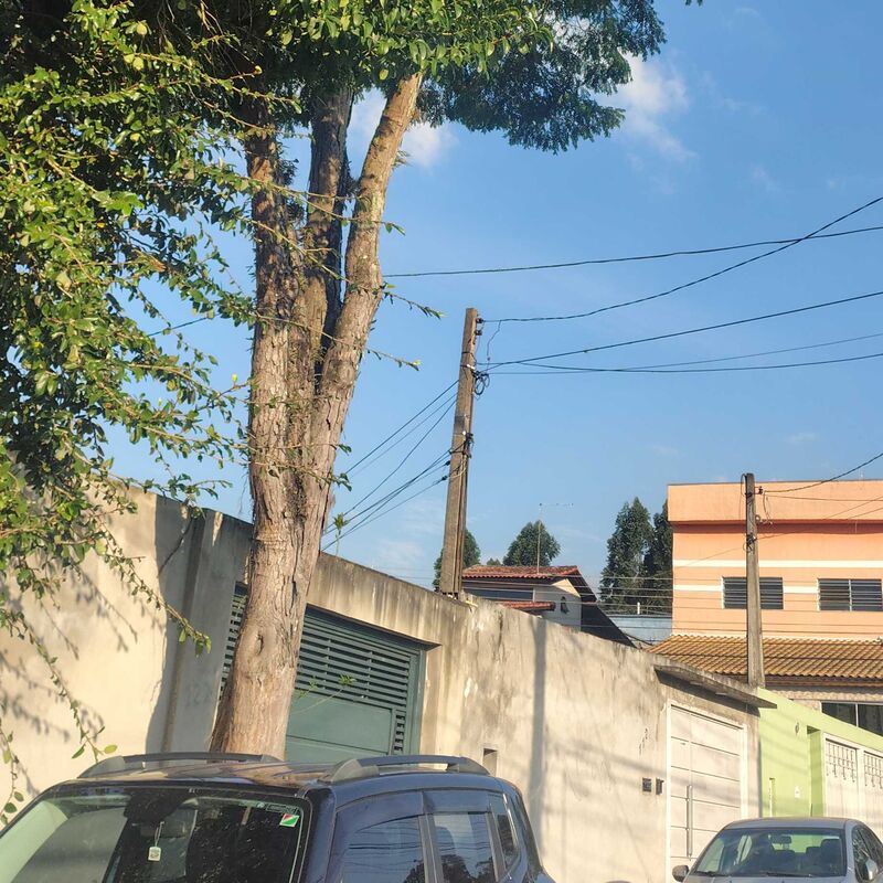 Imagem da publicação