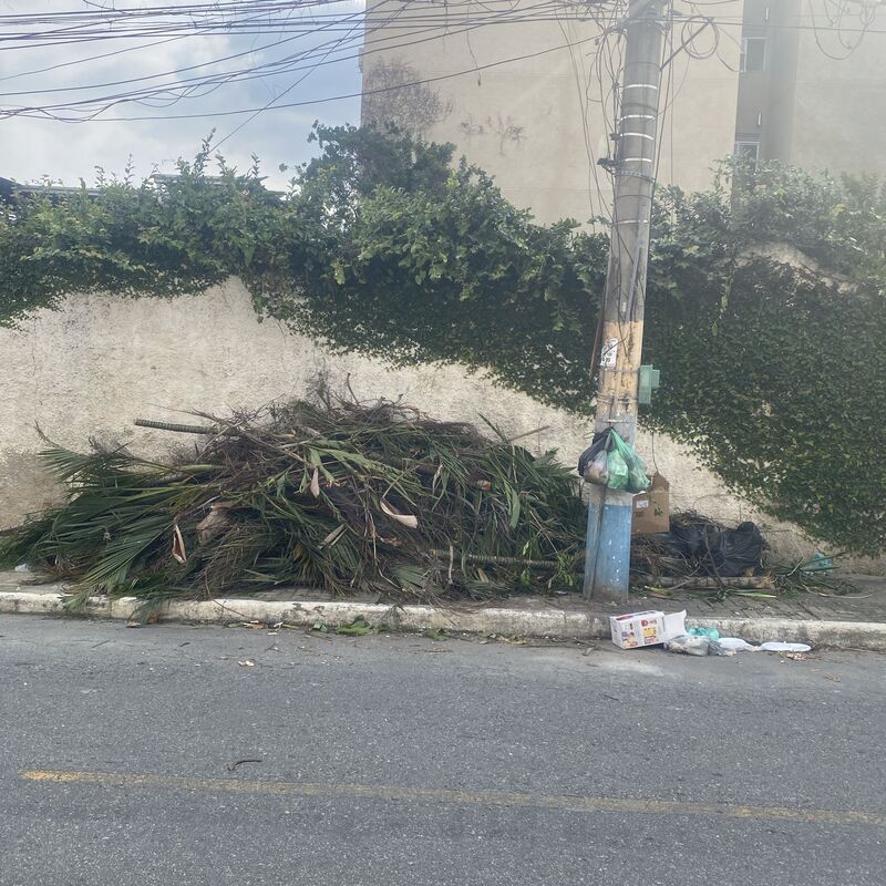 Imagem da publicação