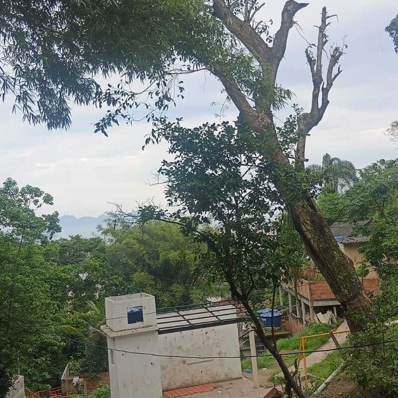Imagem da publicação