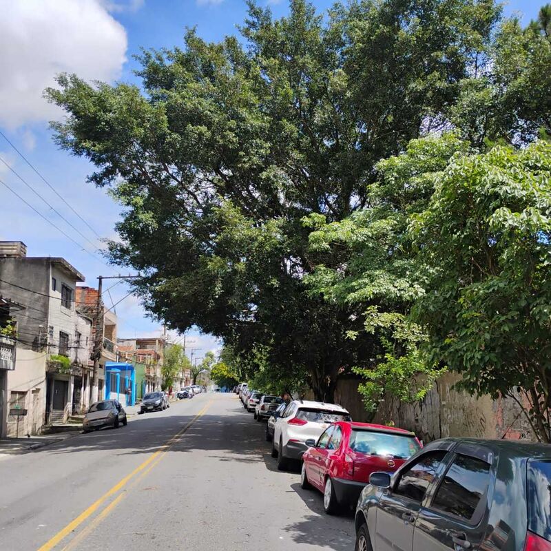 Imagem da publicação