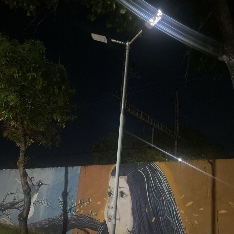 Imagem da publicação