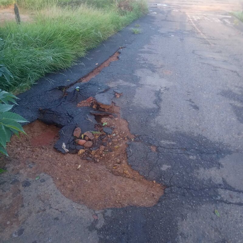 Imagem da publicação