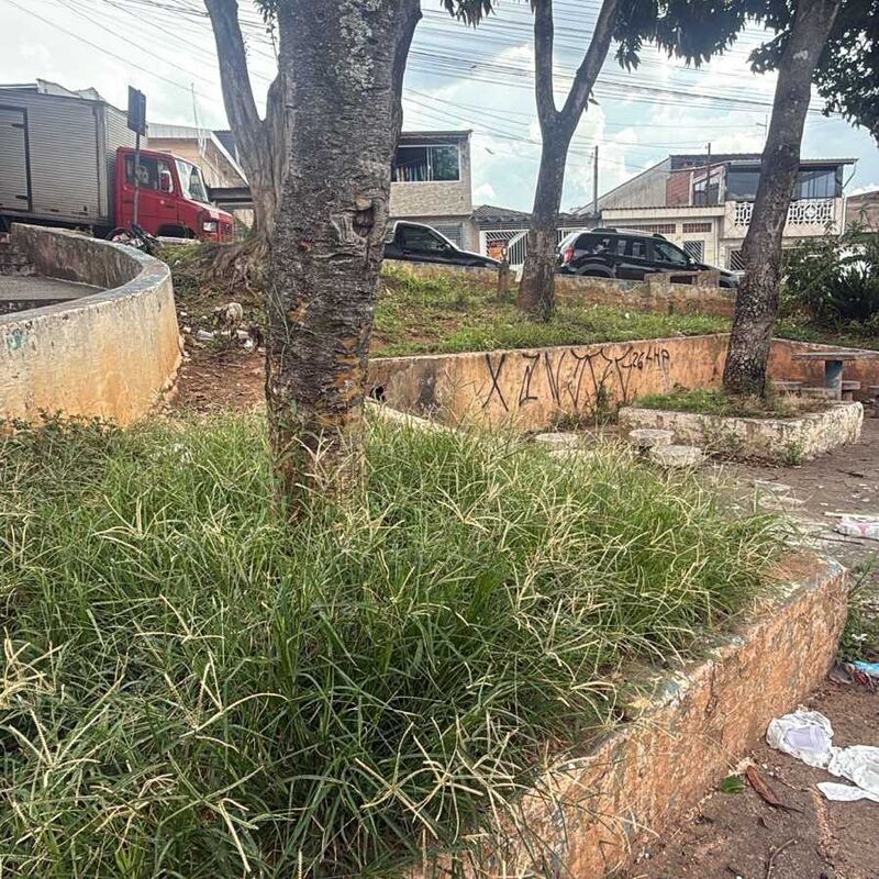 Imagem da publicação