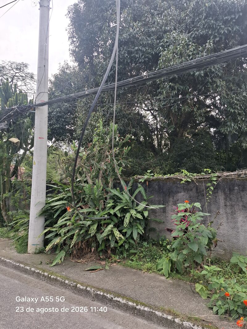 Imagem da publicação