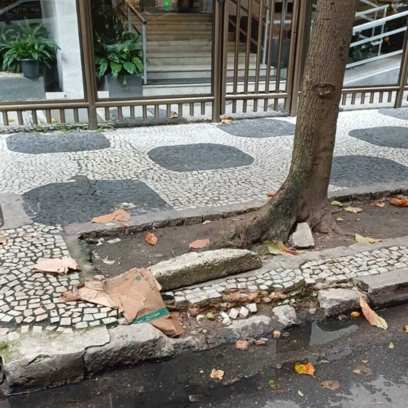 Imagem da publicação