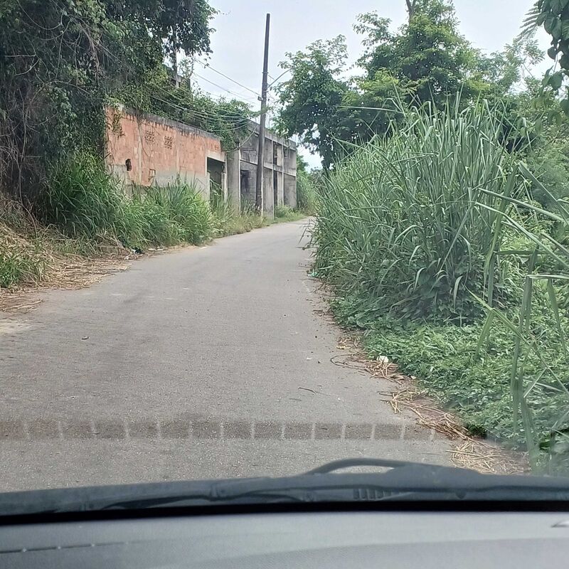 Imagem da publicação