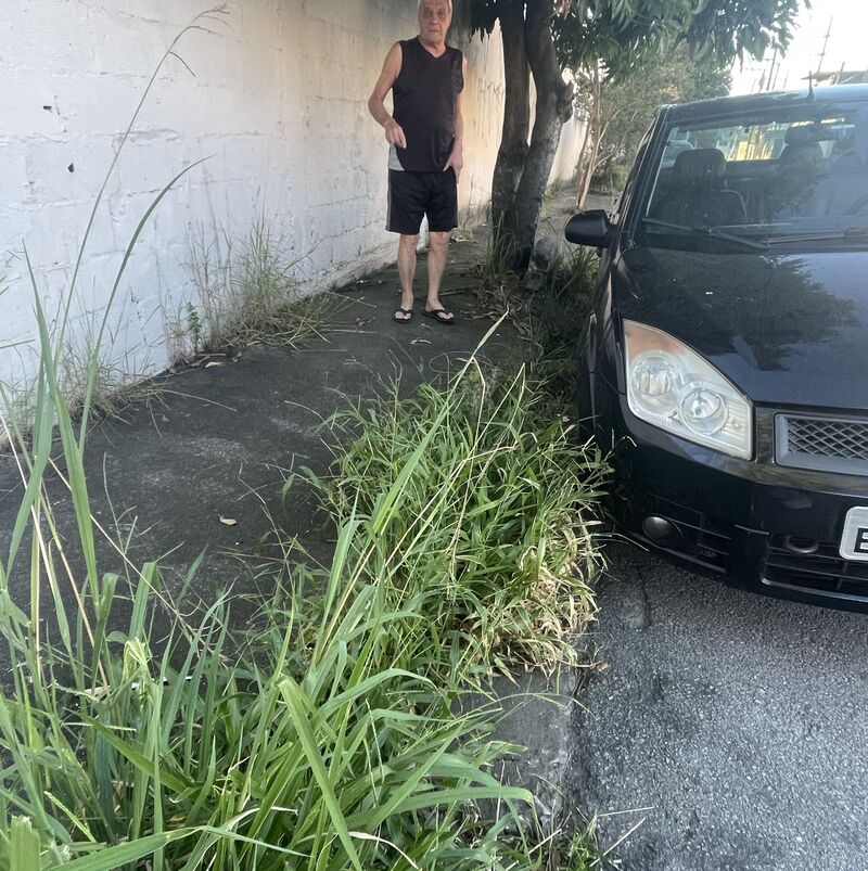 Imagem da publicação