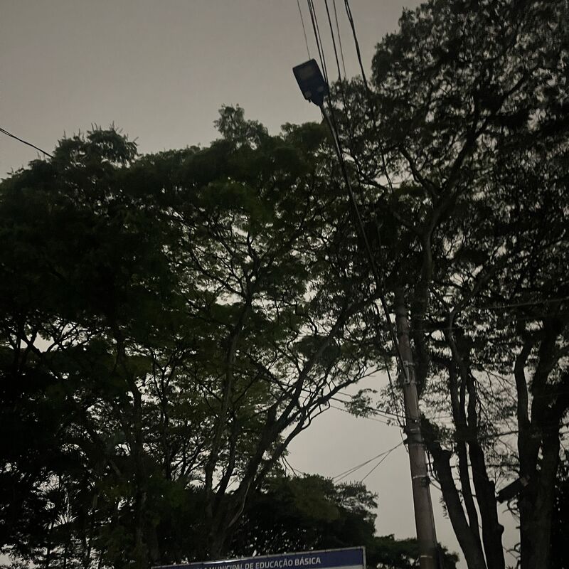 Imagem da publicação