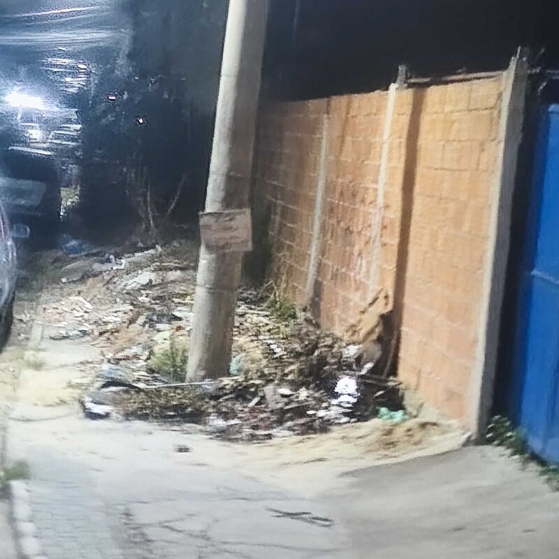 Imagem da publicação