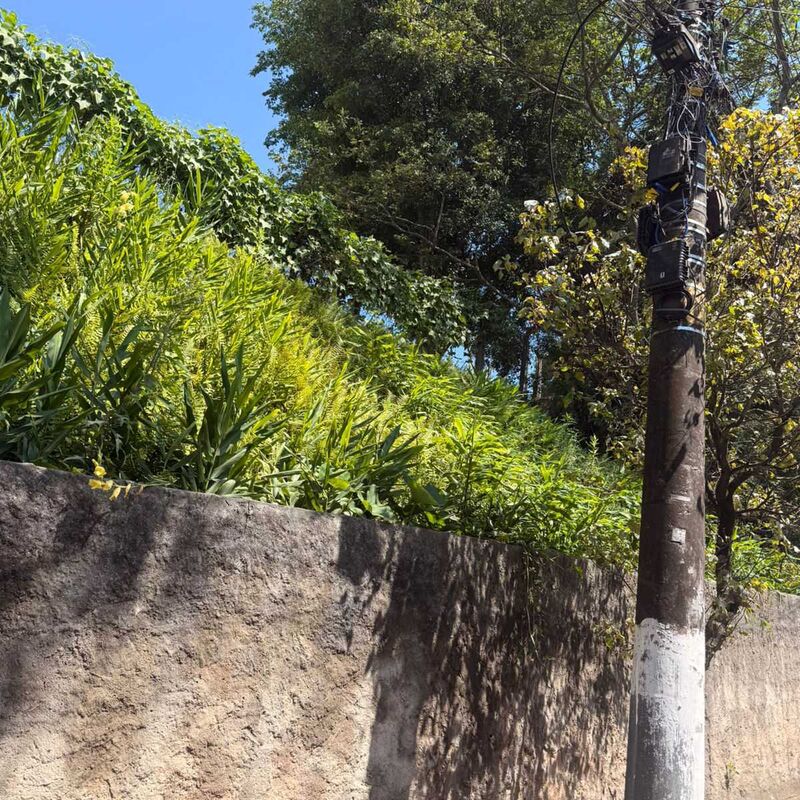 Imagem da publicação