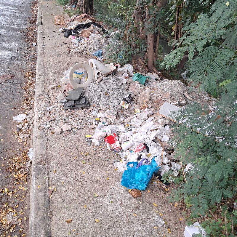 Imagem da publicação