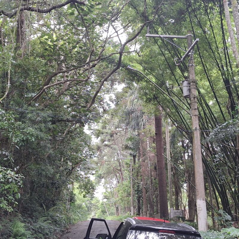 Imagem da publicação