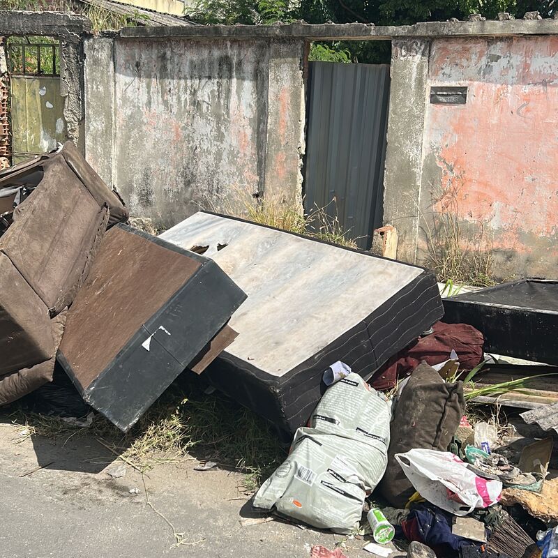 Imagem da publicação