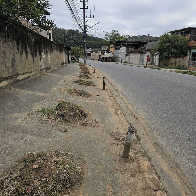 Imagem da publicação
