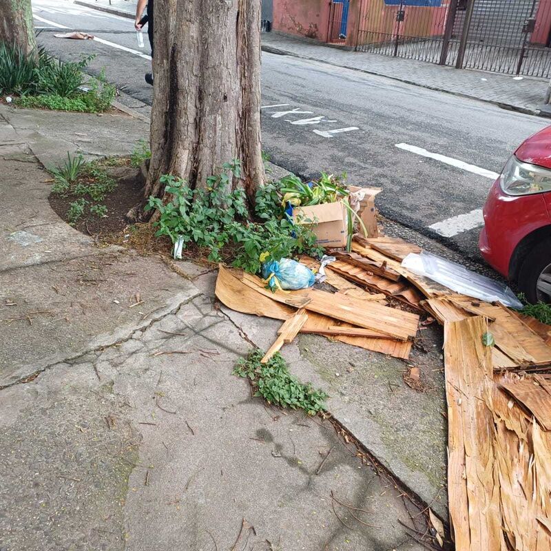 Imagem da publicação