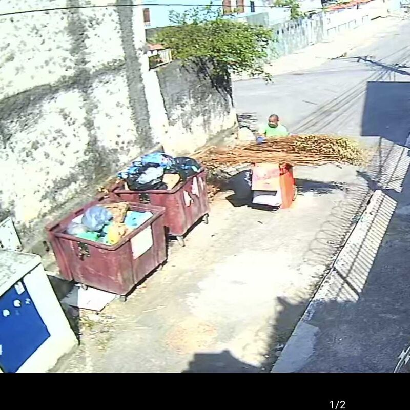 Imagem da publicação