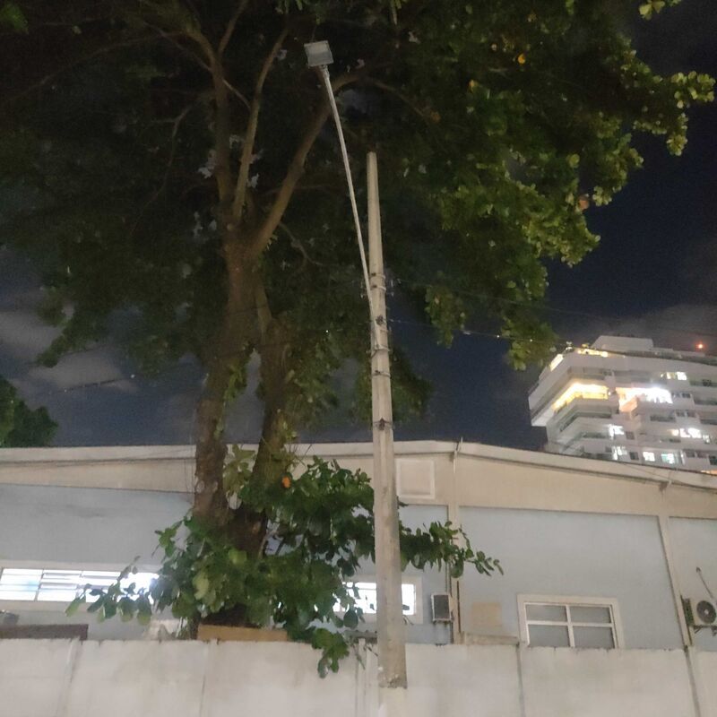 Imagem da publicação