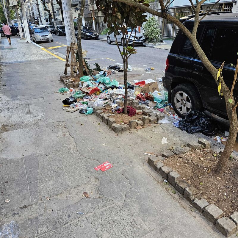 Imagem da publicação