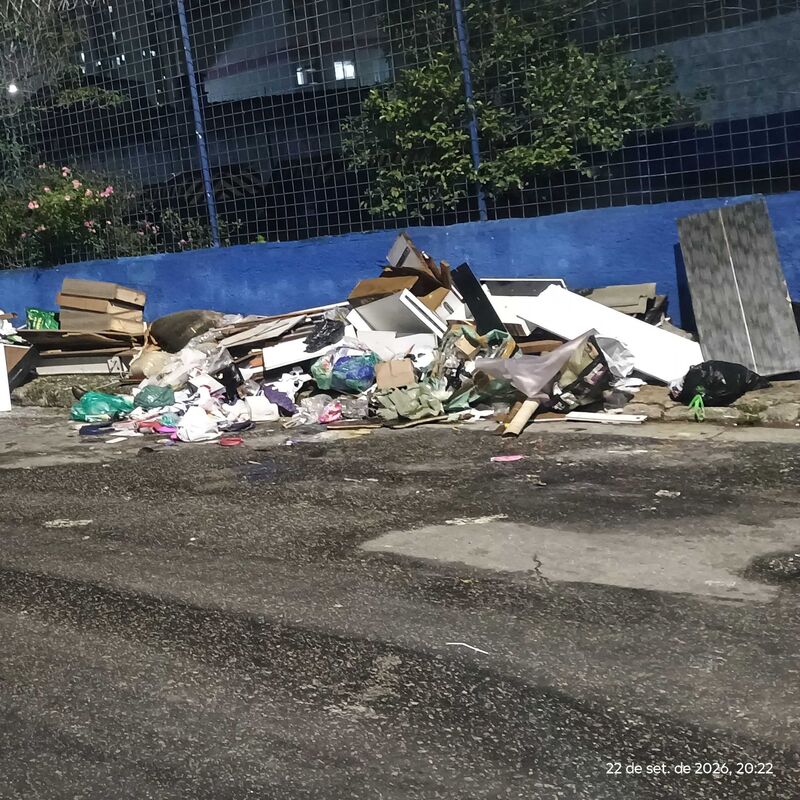 Imagem da publicação