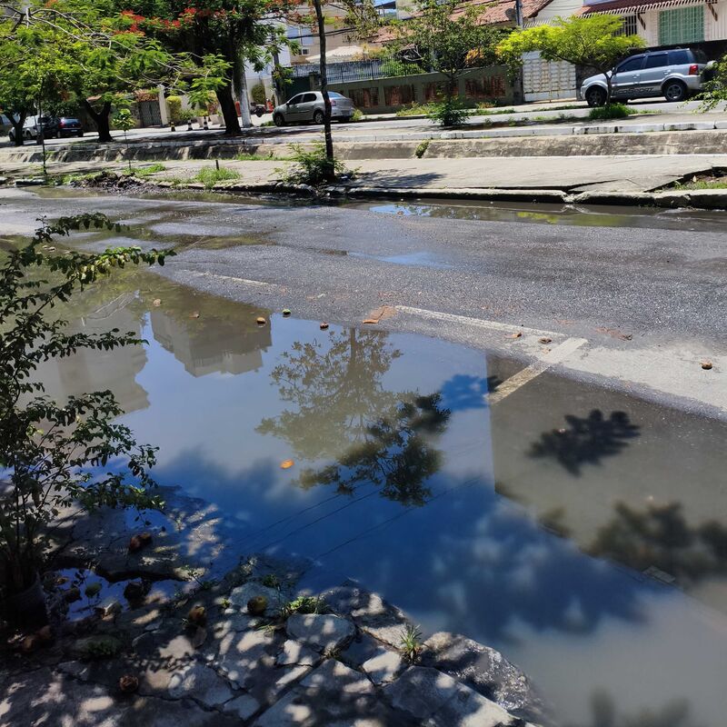 Imagem da publicação