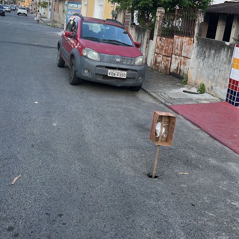 Imagem da publicação