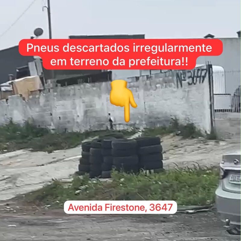 Imagem da publicação
