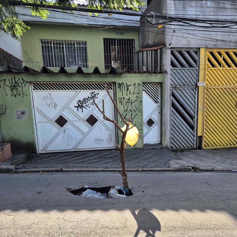 Imagem da publicação