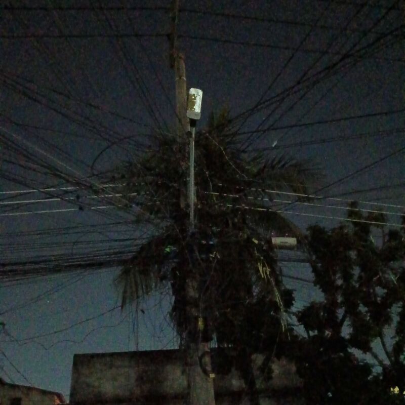 Imagem da publicação