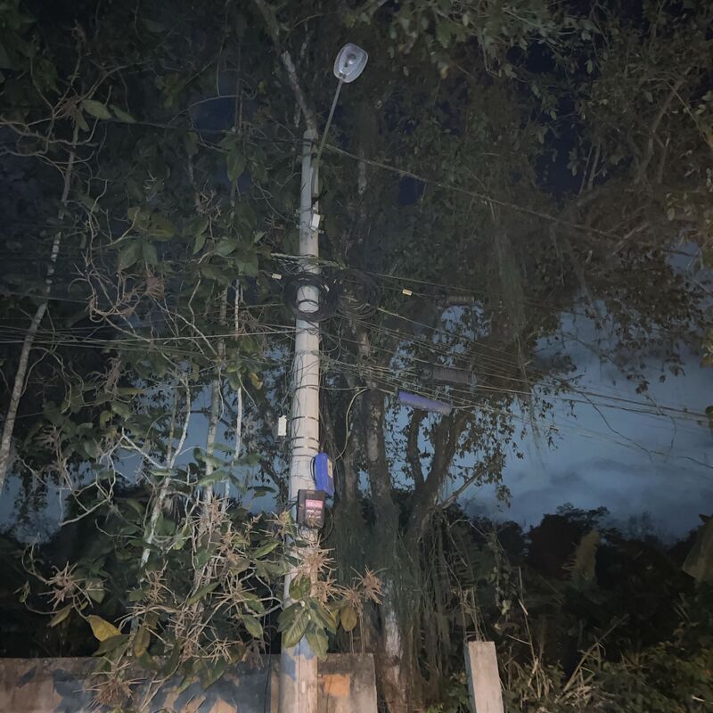 Imagem da publicação