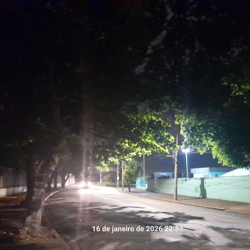 Imagem da publicação