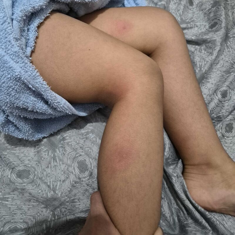 Imagem da publicação